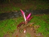 Belize 027
